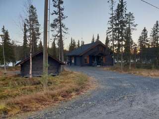 Фото Виллы Ihtingin Ulappa Chalet г. Niskala